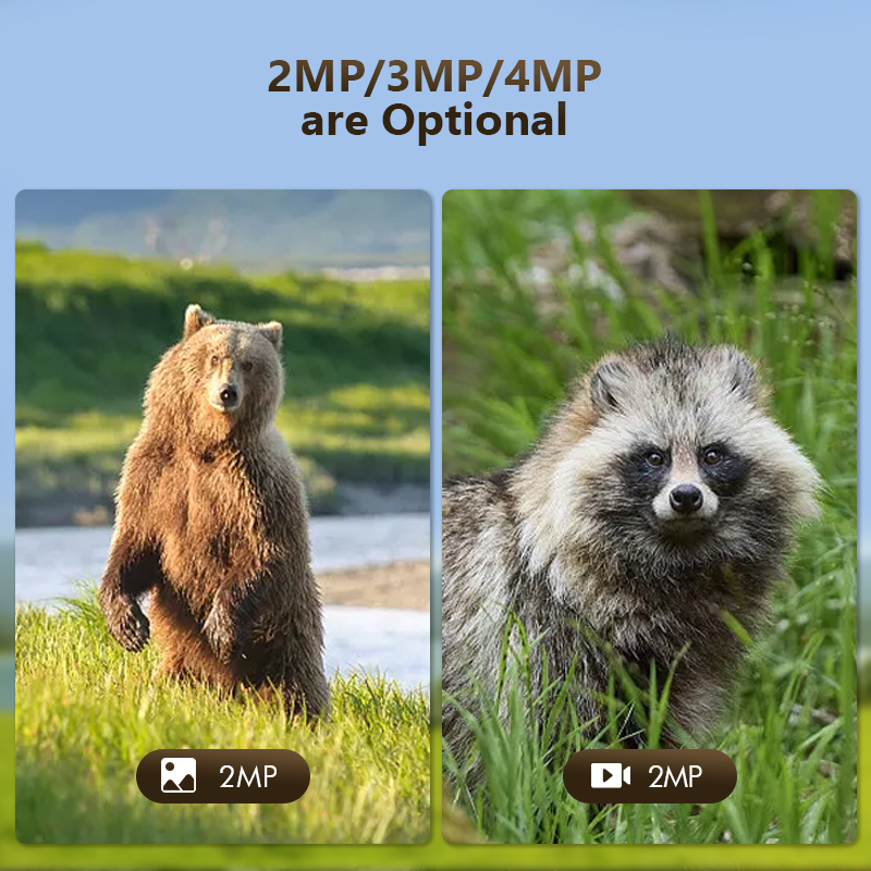 トレイルおよび屋外撮影カメラ,4mp,wifiアプリ,ソーラ - Hunting Outdoor Game のレビューと価格